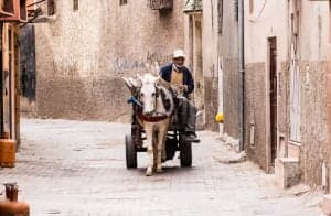 9-Day Morocco Desert Tour from Casablanca