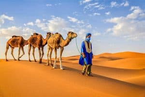 Marrakech to Fes Desert Tour, 7 Days: One Week in Morocco