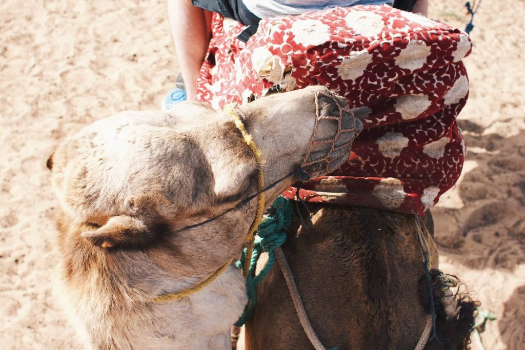 Sahara desert tour from Fes, Fes to Merzouga 2 day trip