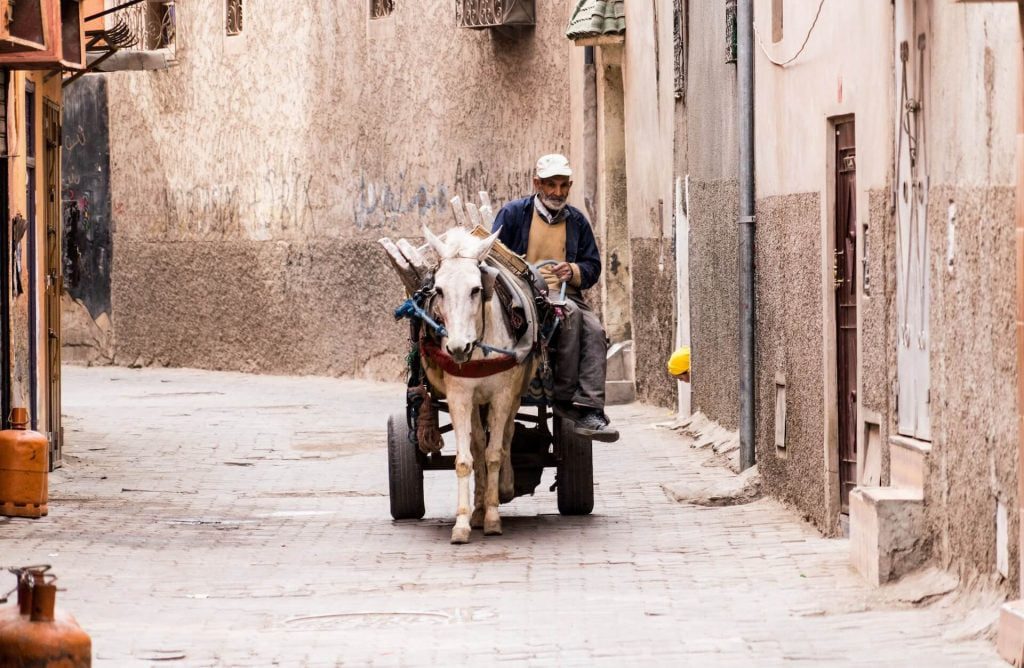 9 days desert tour from Casablanca