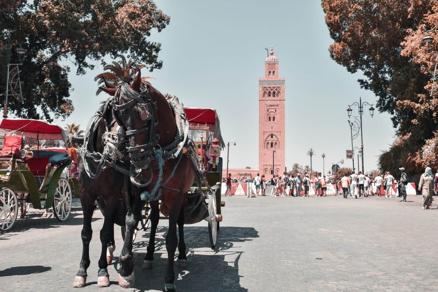 4 Days In Morocco, Tour From Fes To Marrakech Itinerary Morocco Expedition