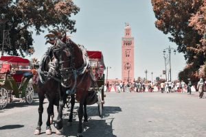 6 days Morocco tour itinerary from Fes to Marrakech via desert