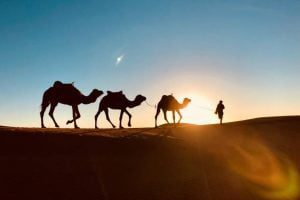 Morocco 2 week itinerary from Casablanca.