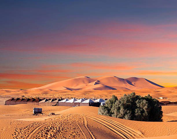 Marrakech 8 days tour to Fes and night in desert camp