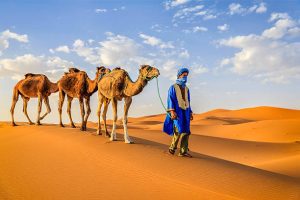 Marrakech to Fes desert tour 7 days (one week in Morocco)