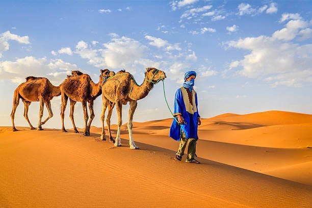 camel trekking in merzouga , Marrakech to Fes desert tour 7 days (one week in Morocco)