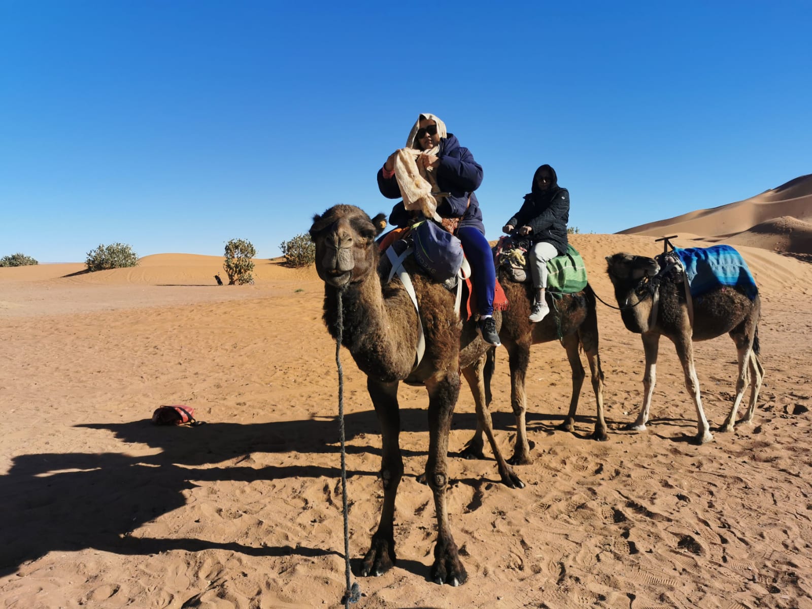 camel trekking